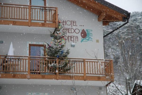 Hotel Faedo Pineta Cameră foto